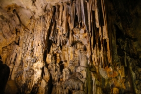 IMG_2657