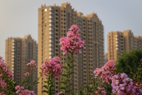china-168