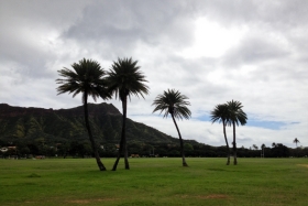 Kahe puu vahel on Diamond Head