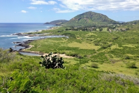 Hawaii kaktustel pole okkaid, sest pole ka looduslikke vaenlaseid.