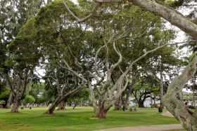 Tavaliselt ebatavaline park
