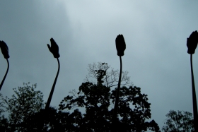 15DSCN5718