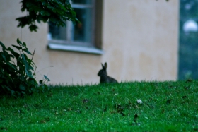 16IMG_5916