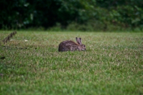 17IMG_5921