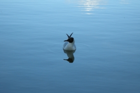 DSCN0468