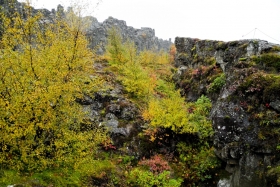 Värvid