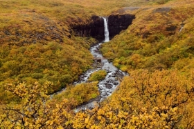Skaftafell. Metsas nägi kaugele