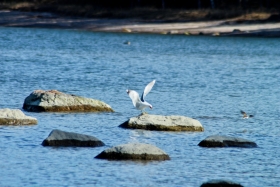 25IMG_0286