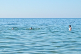 12DSCN8738
