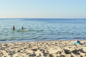 15DSCN8763