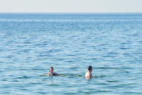17DSCN8768