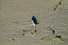 20DSCN8790