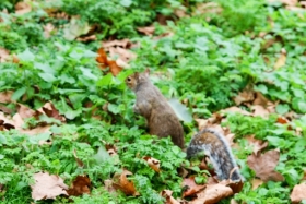 IMG_7271
