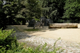 Berliin. Zoologischer Garten. Triibulised.
