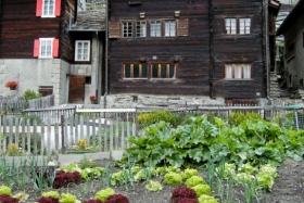 Saas Fee (1800 m). Potipõllundus.