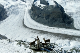 Gornergrat (3089 m). Kohalikud limpsivad soola.