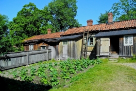 Luostarinmäki käsitöömuuseum Turus. Kohalik tubakapõld