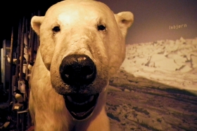 Royal and Ancient Polar Bear Society Hammerfestis. Linna üks sümbolitest – jääkaru – ütleb tere
