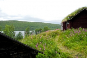 Utsjoki kirikuhütid. Pildil paremal suitsusaun, vasakul ääres kelder kalade tarvis