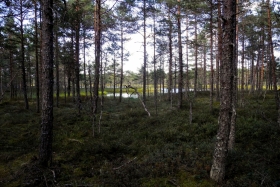 21DSCN8409