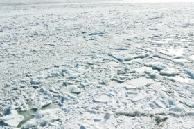Lasnamägi