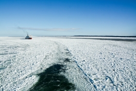 Jälitaja