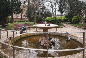 ven25-024