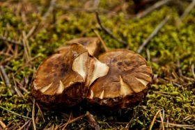 10IMG_4086