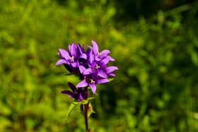 23IMG_4238