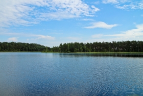 3IMG_3978