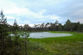 20DSCN8904