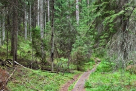 12IMG_3664