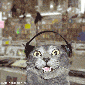 pussmosh pussmosh