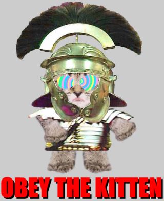 obeythekitten