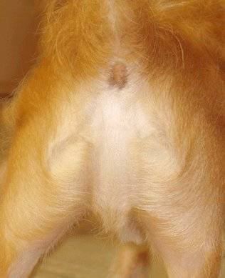 can-you-see-jesus