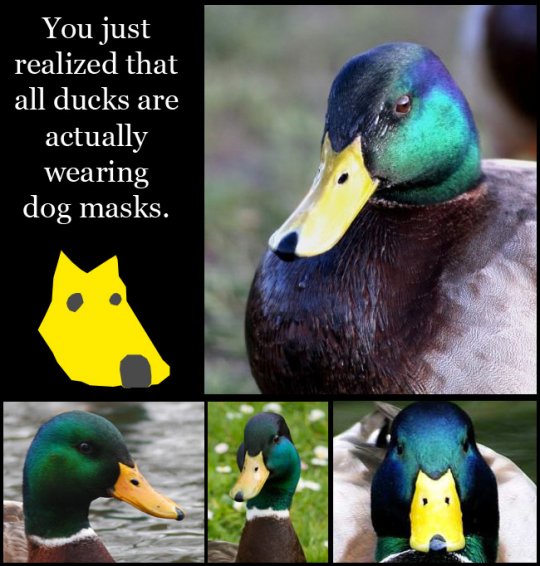 part prääks